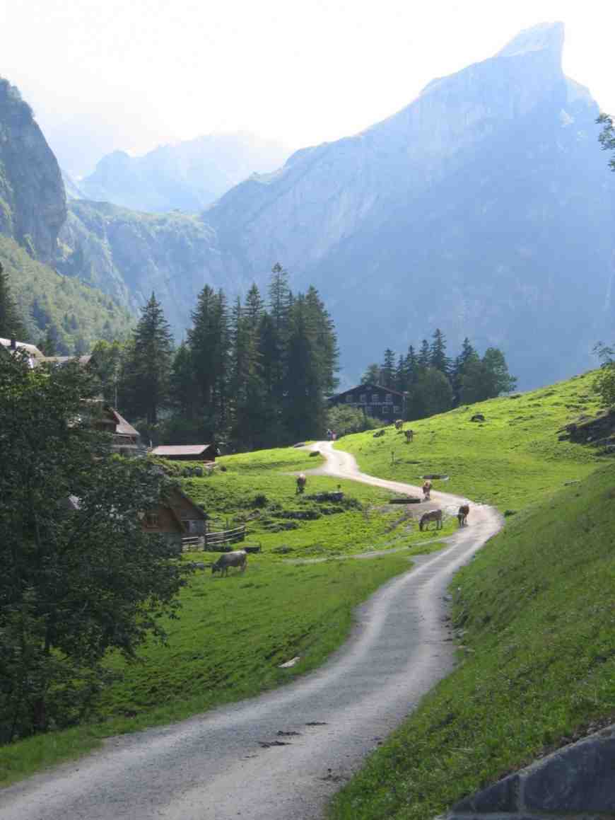 Alm mit Berglandwirtschaft